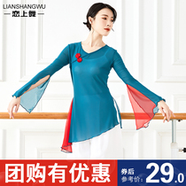 Chinese classical folk dance body dance dance costume modern dance basic training suit color jacket art test gauze clothing