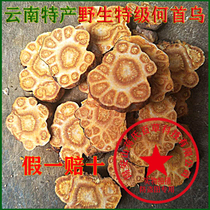 Yunnan Polygonum multiflorum dry charge Shouwu wild hair hair black powder tea a pound