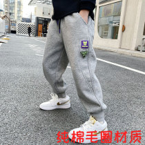 Boy sports pants 2022 new spring and autumn children casual pants plus suede large small and medium boy long pants pure cotton handsome