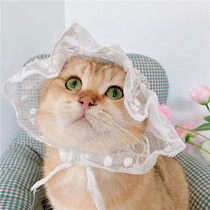  Ladies afternoon tea Net celebrity ins pet cat hat headgear Cute dog lace hat sunscreen headgear