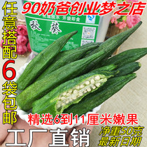 Dry Okra yellow okra crispy snacks dried fruit and vegetable instant dehydrated vegetable crispy vegetable dried okra 50g