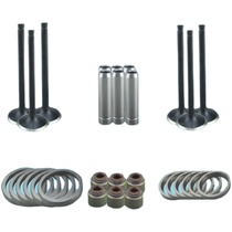 Yangdong YD480 full chai QC480 valve four combination valve four matching