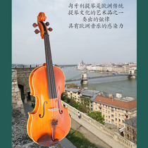 Made in Hungary Stradivari 1672 Viola replica Made in Italy Bachmann material