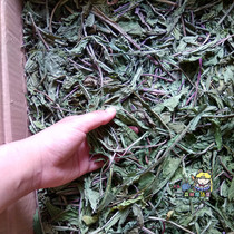  21-year-old new grass baked dandelion GRASS 150G rabbit rabbit heat fire detoxification and health grass