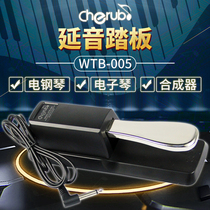  Cherub WTB005 Little Angel sustain pedal Electric piano Electronic keyboard Universal large pedal