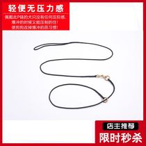 Pet dog leash dog chain P chain imported nylon competition training dog large and small dog border cattle