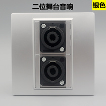 Silver Type 86 two-digit high-power professional stage audio socket four-core speaker Ohm canon plug panel