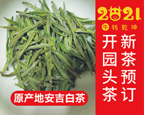 2021 Anji White Tea Spring Tea Green Tea Head Chuang Spring Tea Premium 250 Caiyuan Tea