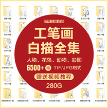 Work Stroke White Sketch manuscript HD Photo set material Song Little character Flower Bird Guanyin Line manuscript copy electronic version