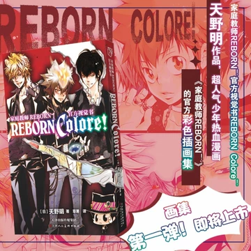 家庭教師ヒットマンREBORN! 英語版　漫画　English Manga 家庭教師ヒットマンREBORN! 19 (集英社文庫(コミック版)) | 天野 明