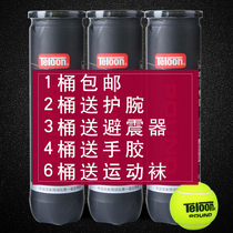Teloon Denon POUND Tennis professional match ball National team training special blaster P4