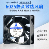 6cm 6025 6cm double ball AC110-220V DC60-240V Small cooling fan fan