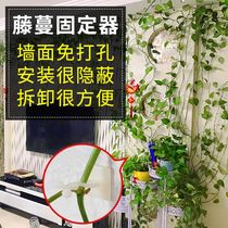Green basket climbs up the artifact green Rao holder climbing wall green plant wall hanging rose Vine clip no trace flower clip buckle adhesive hook