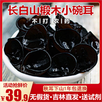Northeast specialty Changbai Mountain wild small black fungus small Bowl ear fungus dry goods bulk special grade 500g dry autumn fungus