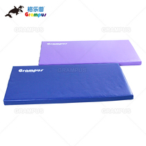 Taiwan Gelep blue purple training mat Sports hall Kindergarten sensory gymnastics crawling game sponge mat