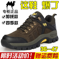 Dapingshan camel spring summer hiking shoes mens waterproof non-slip outdoor sports hiking mountain climbing mens shoes womens insurance