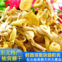 Northeast wild Yuhuang mushroom dried golden top mushroom Jade yellow Mushroom Mushroom mushroom 500g