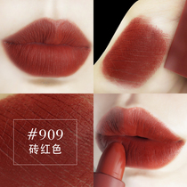 3ce lipstick brick red eating soil pumpkin red brown aunt dirty orange lipstick #116 117 909 220 114