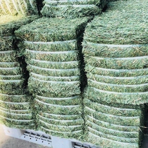 2 kg in 21 years a stubble imported from Canada 500g Timothy grass section rabbit Chinchilla guinea pig
