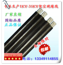 National standard 2-core 4-core parallel overhead cluster insulated conductor 10 16 25 35 50 70 95 120 parallel cable