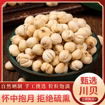Buy 5 get 1 free Chuanbei Sichuan imitation wild planting Chuanbeimu sulfur-free grinding Chuanbei powder 50g Chinese herbal medicine Fritillaria powder