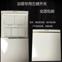Integrated Ceiling Bath Overpower Switch Wind Warm Gold Pipe Carbon Fiber Bath Bully Switch Slip Cover Five Key Switch 16A