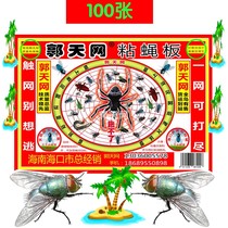 Guo Tianwang big Zhang sticky fly board sticky fly paste fly fly paper catch fly kill fly environmental protection green 100