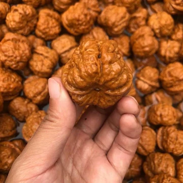 文玩核桃 蛤蟆头 文玩核桃蛤蟆头-文玩核桃蛤蟆头促销价格、文玩核桃蛤蟆头品牌- 淘宝