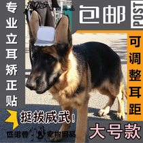 DeMu Laizhou Red Keji Husky Dog Black Back Wolf Green Ear Pace Glue Adult Dog Ear Sticker Correction Bracket