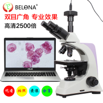 Professional binocular microscope BM500T medical research display high-definition video biological powder granular algae