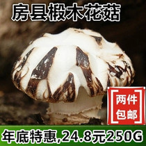 2021 New Nanzhang flower mushroom dried goods wild native basswood flower mushroom 250G two pieces