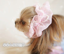 Pet dog Yorkshire Teddy Marzis Hair band Hair pullover Hair band summer light pearl lace