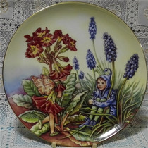British Border Fine Art Flower Fairy series Western Primrose Fairy collection decorative plate 