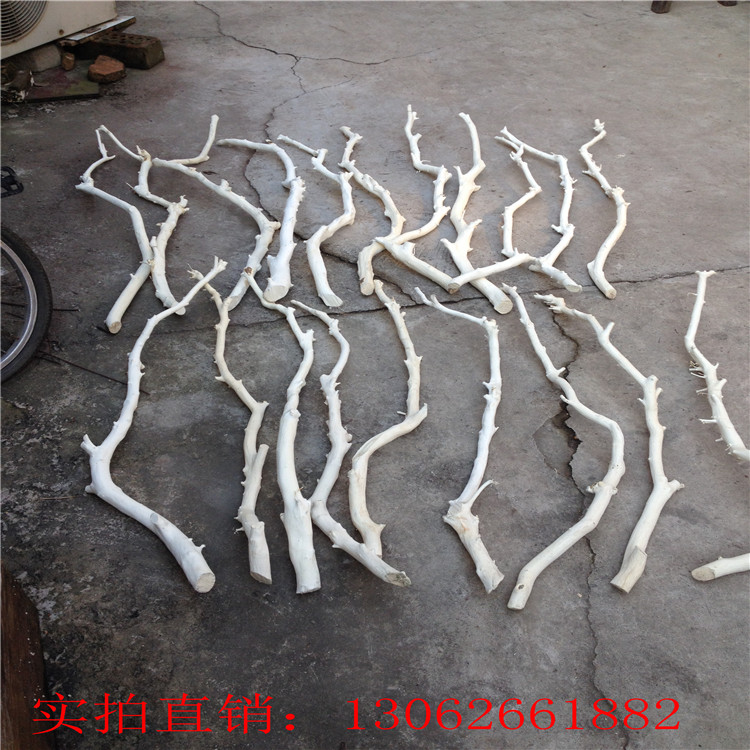 Peeled dried branch wood branch dead branch trunk art ornamental hanger natural branch decoration
