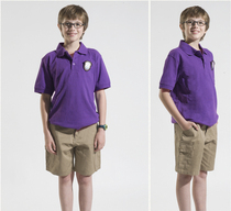 Lan Shi British childrens clothing cotton dark purple short-sleeved T-shirt POLO fashion DT-9052-G with large size