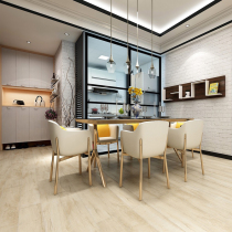 Nature laminate flooring Graz first snow TB7738