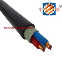 Hangzhou Zhongce brand YJV2*6 square national standard pure copper 2 core 6 square hard sheathed industrial wire and cable