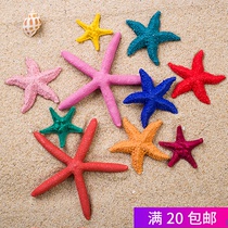 Resin simulation steamed buns starfish shells creative Mediterranean style home decorations hanging ornaments