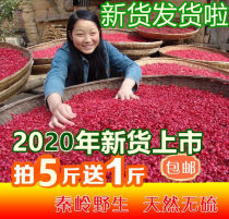 New dogwood in 2020 Qinling wild dogwood meat Chinese herbal medicine dogwood meat 500 grams shoot 5 get 1 kg free