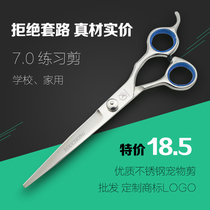 Excellent pet practice scissors 7 inch dog hair repair and beauty tools straight curved scissors school household special offer excellent