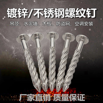 Stainless Steel Threaded Nail 304 Galvanized Round Head Nail M8 Pressure Explosive Steel Nail Tail Nail Loaded Thread Nail Iron Nail