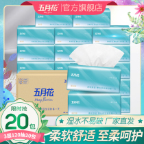 May flowers 20 packs of large S-size paper towels paper paper box facial tissue paper smoking home clothing napkins