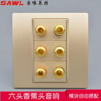 Type 86 Champagne gold multimedia panel 3 5 1 six-head surround speaker socket Speaker wall socket panel
