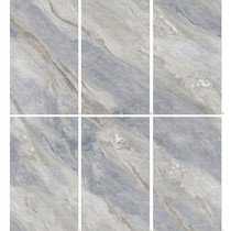 Shunhui tile 2687611*61--66 ribbon gold