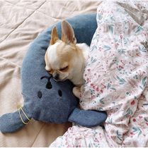 Dull house pet dog appease pillow pet cat dog Deep Sleep Pillow soothing toy spot