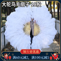 Large ostrich feather fan dance craft fan bar show cosplay belly dance props big feather fan