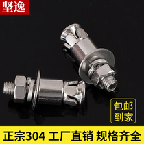 Back Bolt 304 stainless steel percussion type back Bolt screw expansion anti-seismic back Bolt marble curtain wall accessories