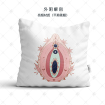 (Reproductive Anatomy) Gynecology Private Reproductive Postpartum Rehabilitation Yuezi Center Beauty Salon Pillow Cushion