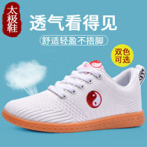 Taiji shoes summer martial arts shoes ox tendon net breathable tai chi training shoes light men and women sports shoes