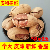 New cream salt-baked bulk extra-large granules Bagan fruit 500g bagged 2kg dried fruit snacks whole box 5kg